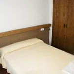El Palmeral *