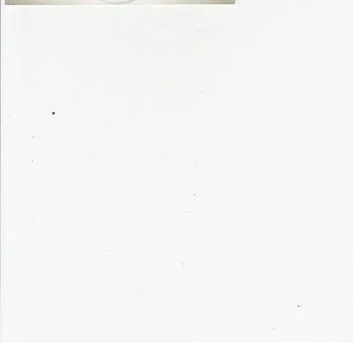 El Palmeral Appartamento Conil De La Frontera